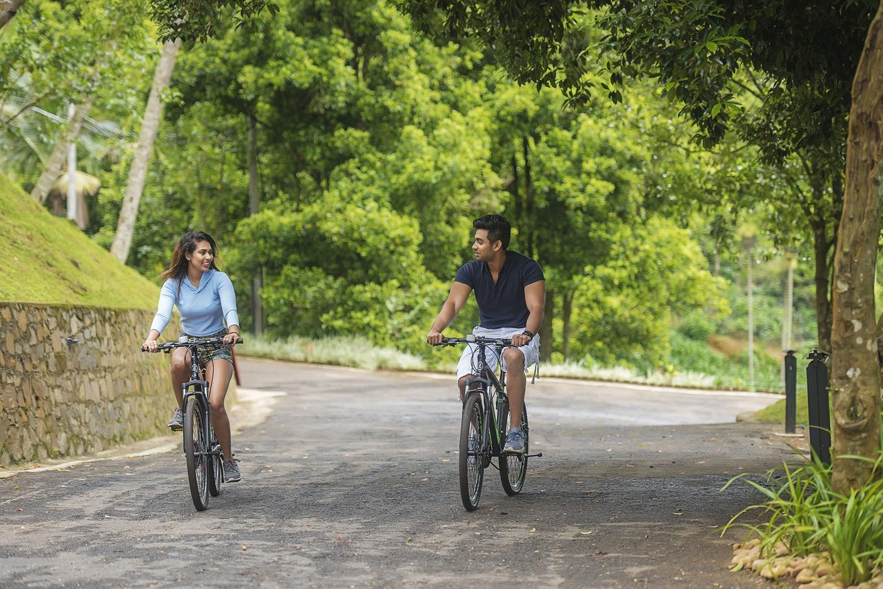 Simpson'S Forest - Luxury Boutique Resort & Spa - Kandy Eksteriør billede