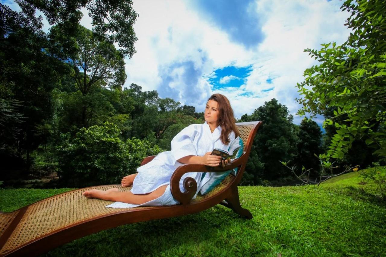 Simpson'S Forest - Luxury Boutique Resort & Spa - Kandy Eksteriør billede